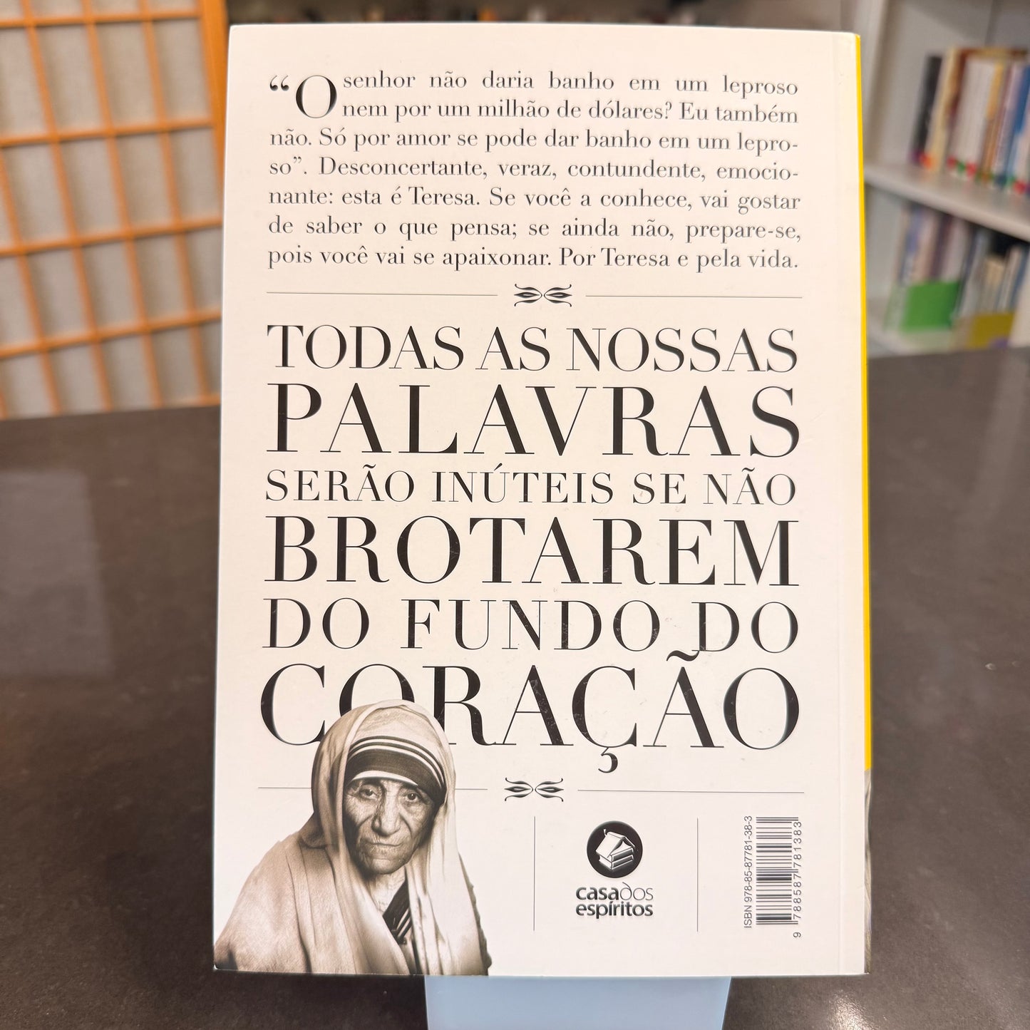 A força eterna do amor - Robson Pinheiro por Teresa de Calcutá