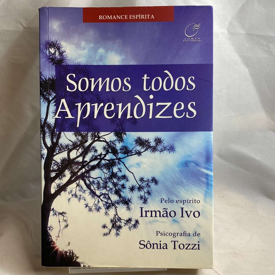 Somos todos aprendizes - Sônia Tozzi por Irmão Ivo