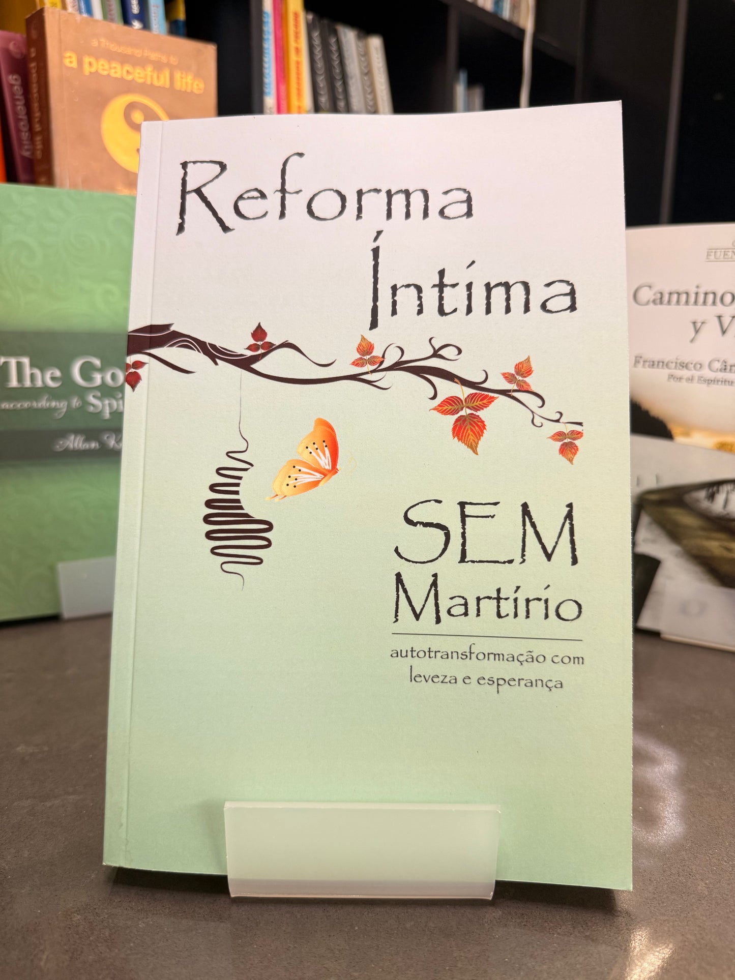 Reforma Intima sem martírio - Wanderley Oliveira por Ermance Dufaux
